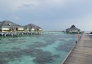 太陽島