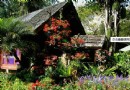 清邁植物園