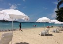 桃花島
