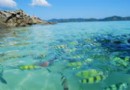 海豚島