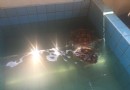 海龜養殖中心