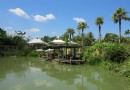 普吉島植物園