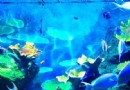 曼谷海洋公園