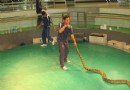 蘇梅蛇園