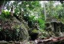 魔法花園