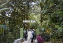 馬來西亞大學植物園