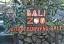 巴厘野生動物園