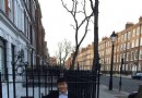 倫敦大學