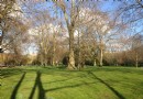 攝政公園