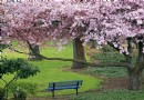 芭嘉黛爾公園