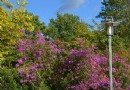 布裡茨花園