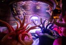 海洋生命水族館