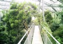 阿姆斯特丹植物園