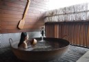台北烏來一日旅游的好選擇