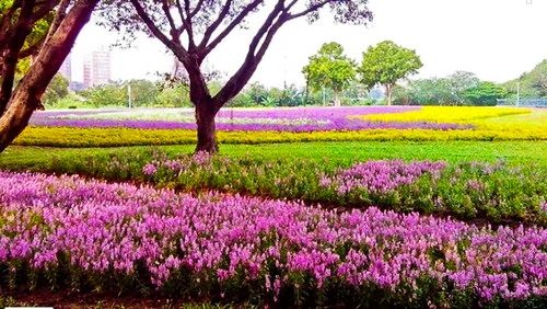 美麗的花海造型地毯