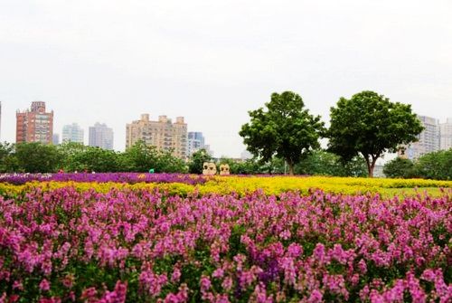 隨手拍都是美景