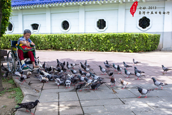 台灣自助游圖片