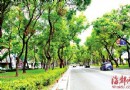 台北：愛綠是一種習慣