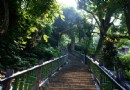 台北劍潭山一日游