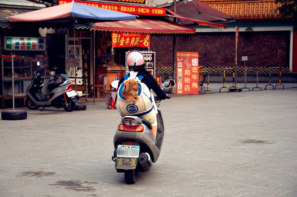 台灣自助游圖片