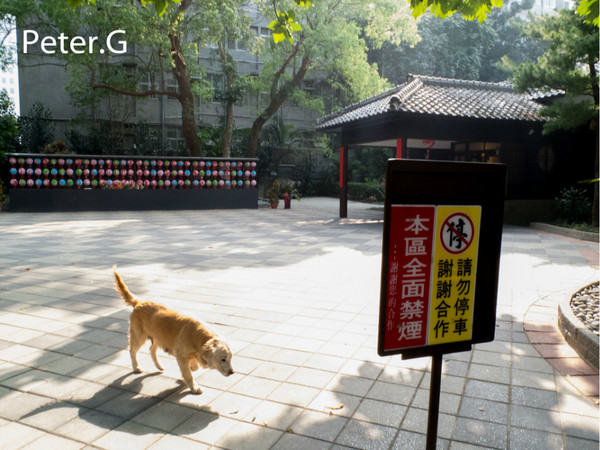 台北自助游圖片