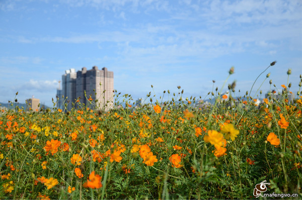 台北景點圖片