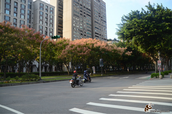 台北景點圖片