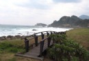 綠色海岸