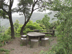 姜子寮山步道景觀