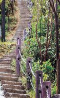 紅淡山步道