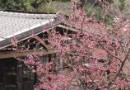 少帥禅園