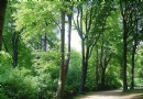 大眾公園