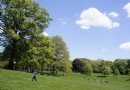 展望公園