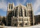 紐約大學