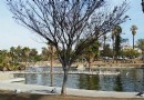 麥克阿瑟公園