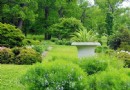 美國植物園