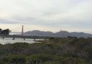 梅森堡大草坪軍事基地