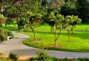 舊金山植物園
