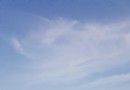 西溫哥華海堤