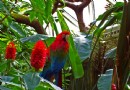 布勒德爾花鳥溫室園