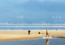 沉船海灘