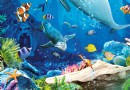 悉尼水族館