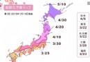 日本最全賞櫻指南 帶上小伙伴投身浪漫花海