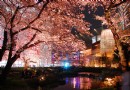 東京l  入夜酒吧去哪裡 六本木酒吧等著你