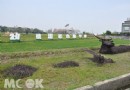 ​2017桃園彩色海芋季於3月底登場 深度發現航空城之美