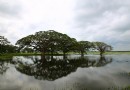 蒂瑟默哈拉默湖