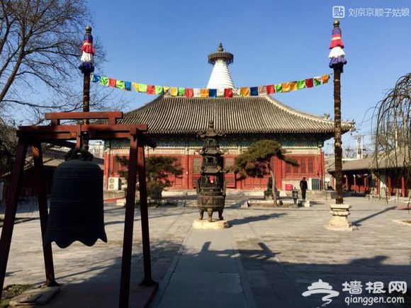 大京京《徒步逛北京》（二）[牆根網]