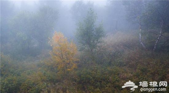 靈氣霧靈山 不見南山南只在北京北