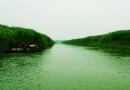 湖南西洞庭湖濕地公園
