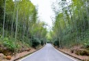 陽嶺國家森林公園